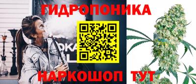 соль ск Кинель