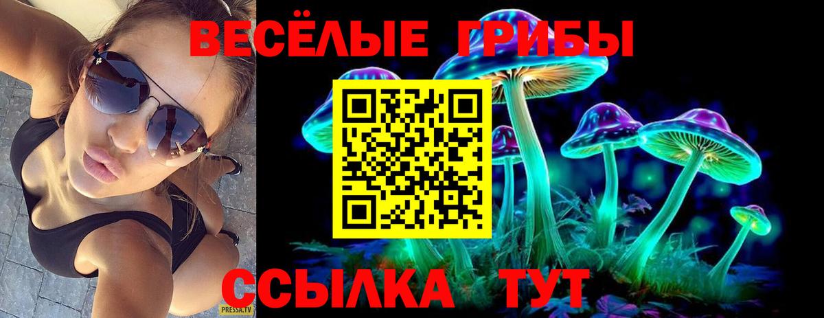 Галлюциногенные грибы мухоморы  Псилоцибиновые грибы прущие грибы  Кострома  Вход с VPN 